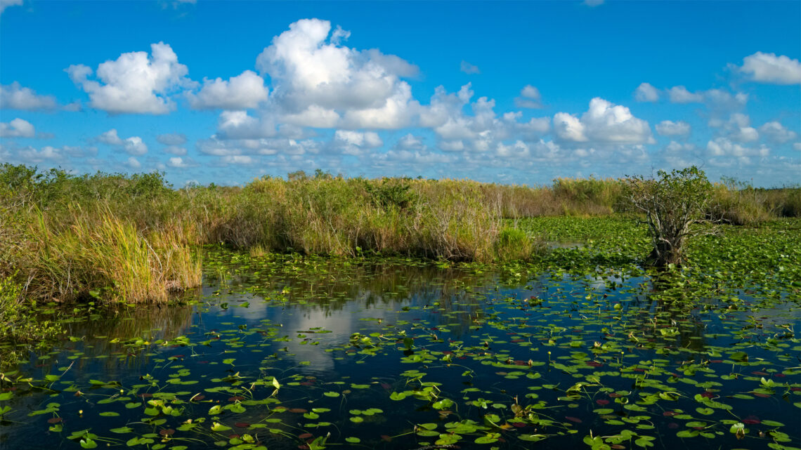 Everglades Reservoir Is Critical To Our Water Supply And Needs Everyone 