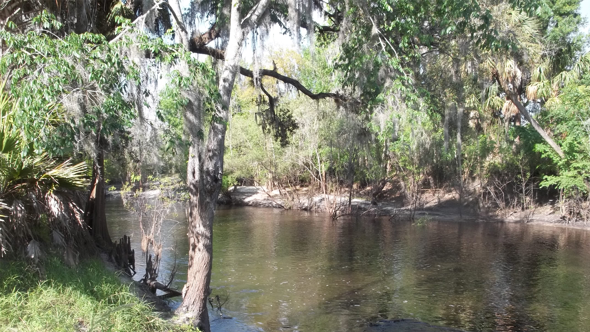 State protects environmentally sensitive lands; Orlando among best ...