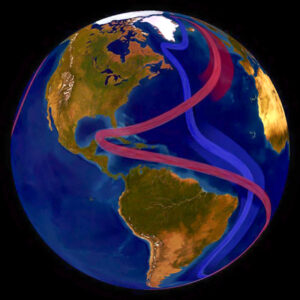 The AMOC circulates cool subsurface water and warm surface water throughout the world. (NOAA image)