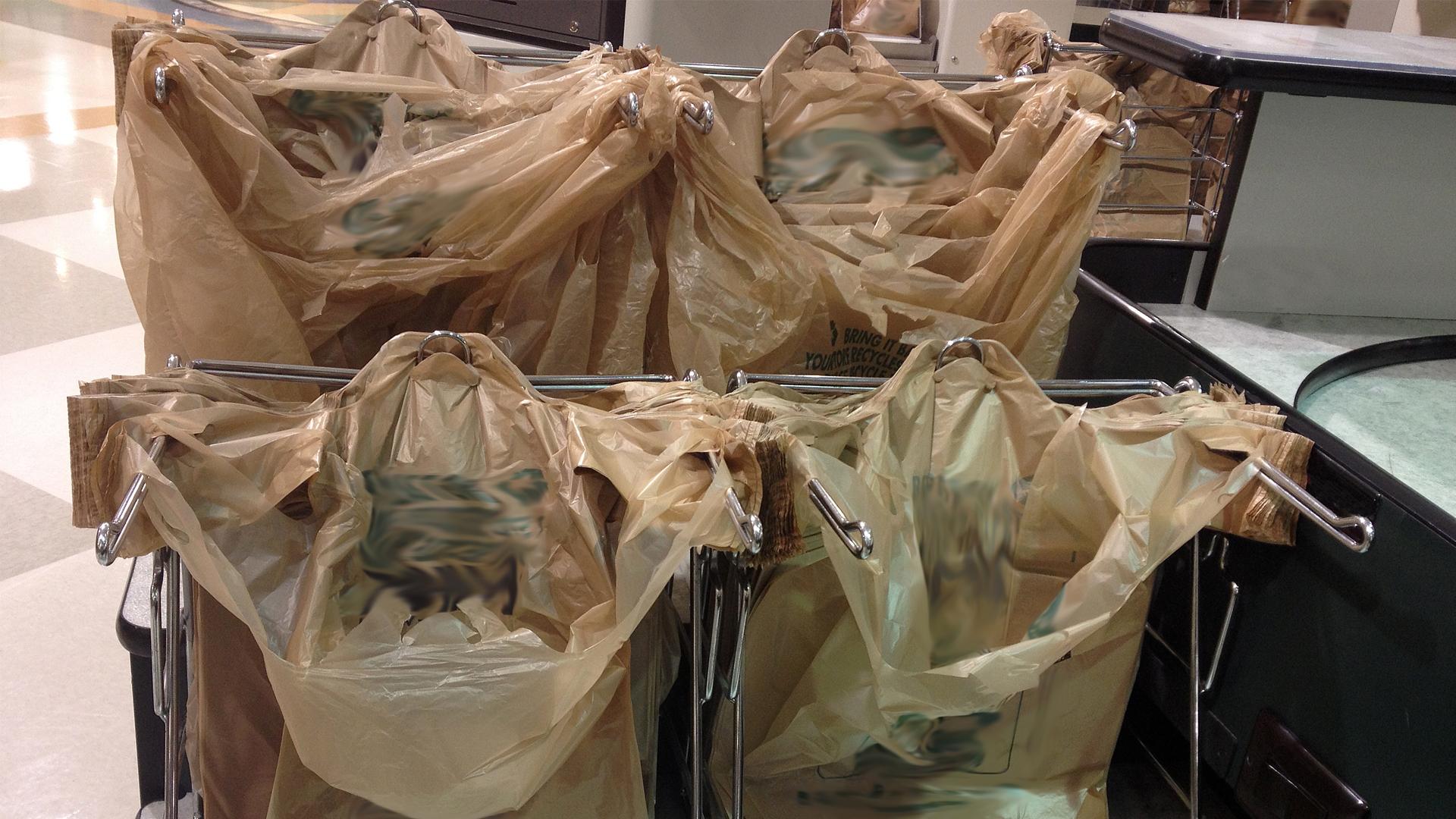 Two grocery chains in Florida eliminate plastic bags; park sees record