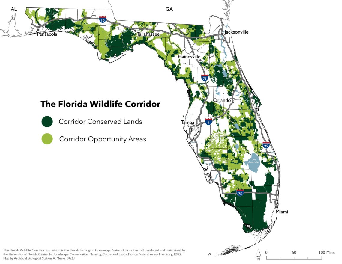 Florida Wildlife Corridor Eases Worst Impacts Of Climate Change 