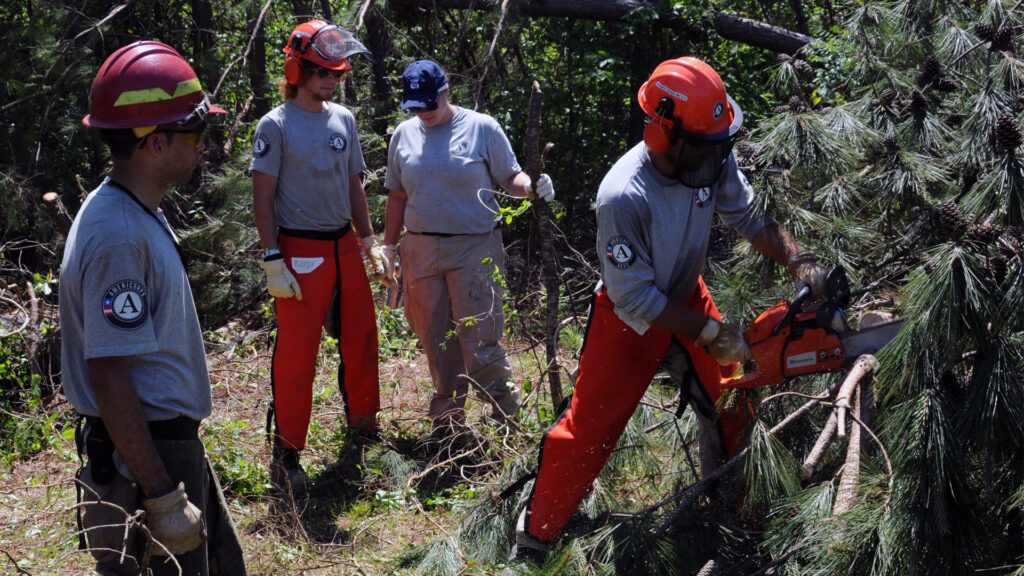 AmeriCorps members cut storm debris in response to a tornado in Mississippi. AmeriCorps, the federal agency for national service, serves as the hub for the American Climate Corps. (George Armstrong, Public domain, via Wikimedia Commons)