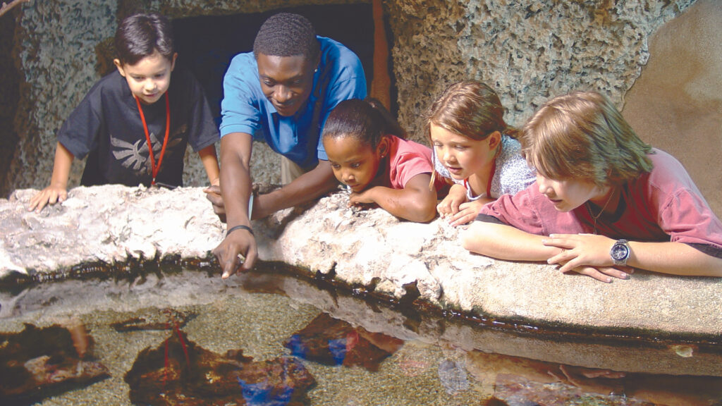 Young guests look at the Florida Ecoscapes exhibit at the Museum of Discovery and Science. (Photo courtesy of MODS)