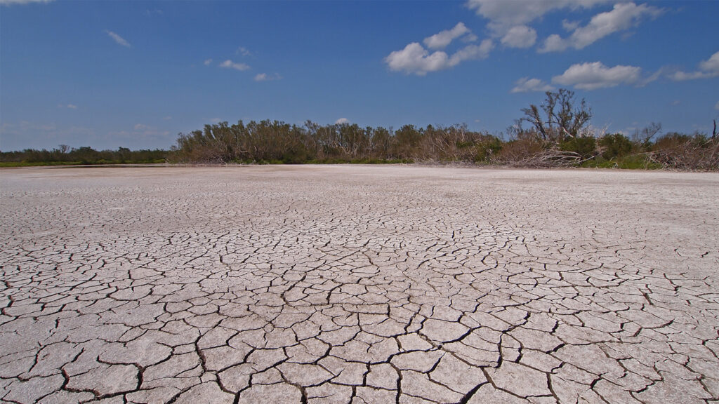 Cracked mud in a pond in Everglades National Park during drought conditions. (iStock image)