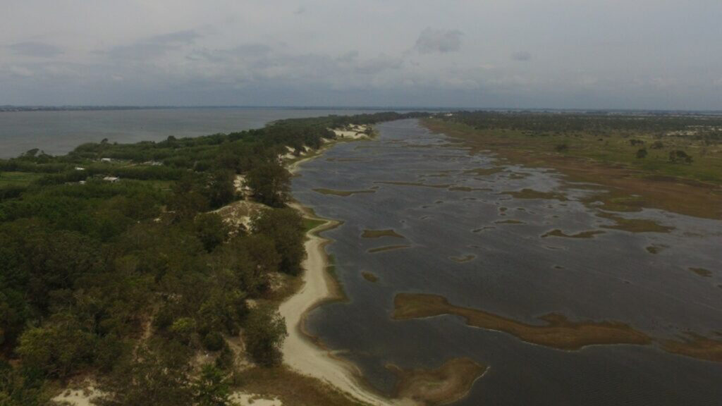 The marginal belt, vegetated dunes and a seasonal lagoon of Marinheiros Islands. (Photo: Rafael M. Pinheiro, used with permission)