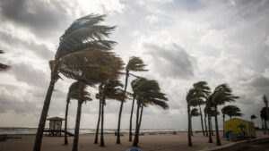 A windy Florida beach before a storm (iStock image)
