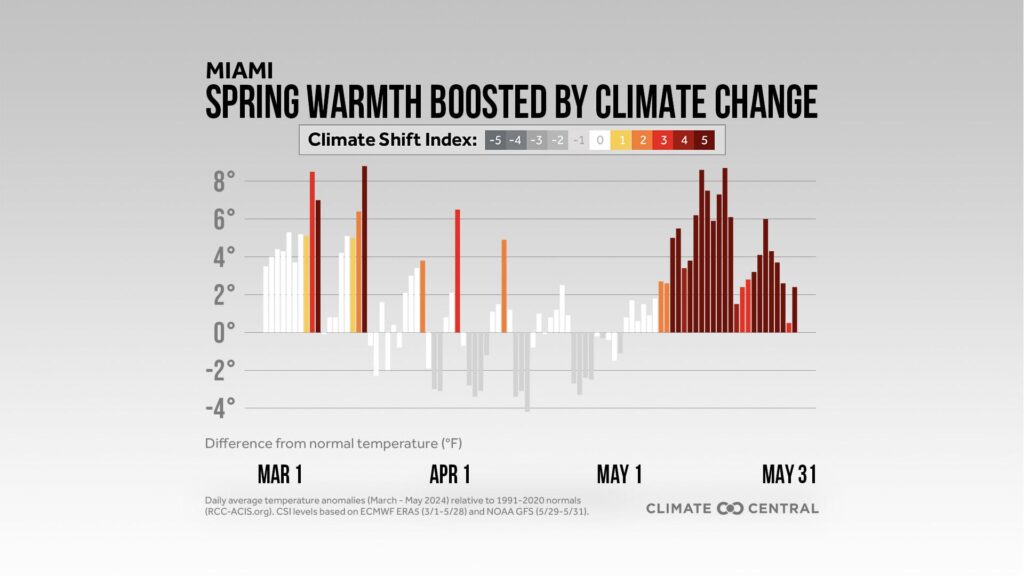 Carbon pollution drove unusual warmth this spring in cities across the U.S., including in Miami and other Florida cities. Climate Central's Climate Shift Index illustrates how climate change contributed to those temperatures, with a +5 meaning that the day’s average temperature was at least 5 times more likely because of global warming. This graphic also shows how temperatures from March to May 2024 compared to normal temperatures from 1991-2020. (Climate Central graphic)