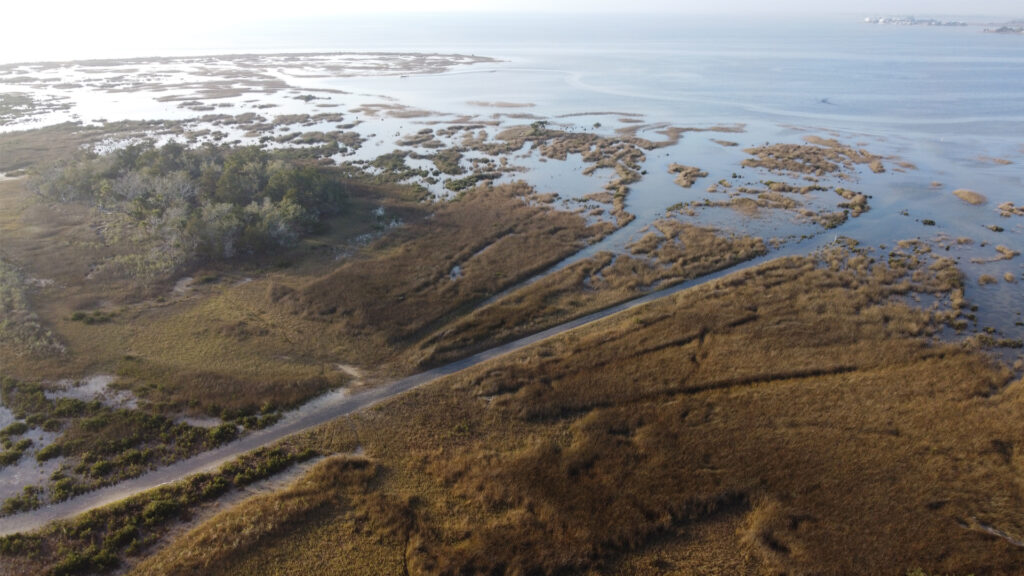 An aerial view of a coastal wetland in North Florida, located in Hagens Cove Park in Perry (Chastizement, CC BY-SA 4.0, via Wikimedia Commons)
