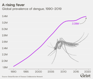 Global prevalence of dengue, 1990-2019 (Grist/Clayton Aldern/Getty)