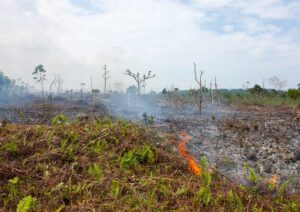 A fire set to repel mosquitoes in Milne Bay Province, Papua New Guinea. (Eric Lafforgue/Art in All of Us/Corbis/Getty Images via Grist)