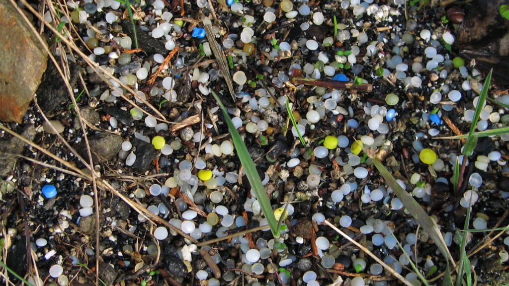 Plastic pellets, sometimes called nurdles, are what manufacturers inject into molds to create larger items but can end up in the natural environment. (hockadilly via flickr, CC BY-SA 2.0)