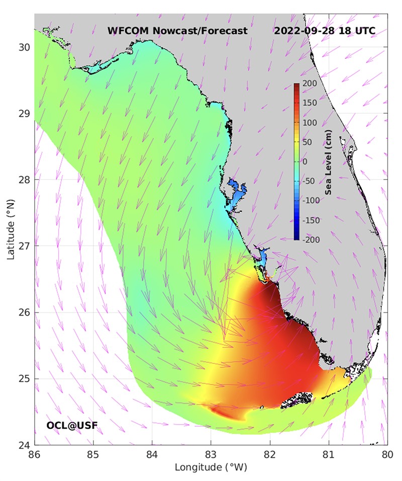 This static visualization of the West Florida Coastal Ocean Model shows dramatic changes in sea level along Florida’s southwest coast during Hurricane Ian in September 2022. (Credit: Ocean Circulation Lab at the USF College of Marine Science)