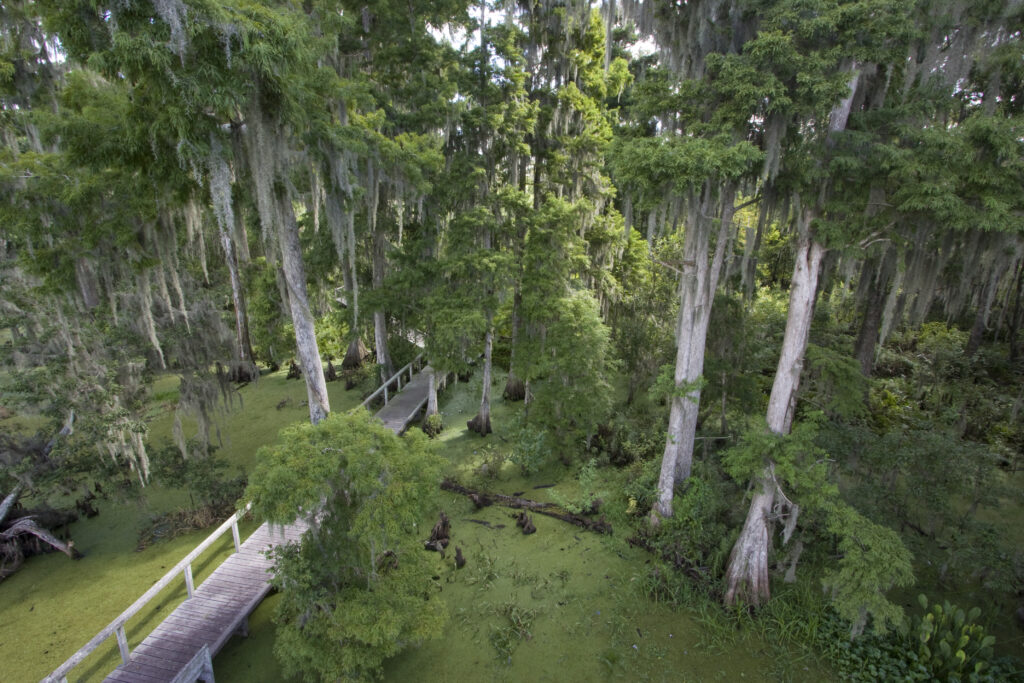 A boardwalk at Avon Air Force Range (Image courtesy of Avon Air Force Range)