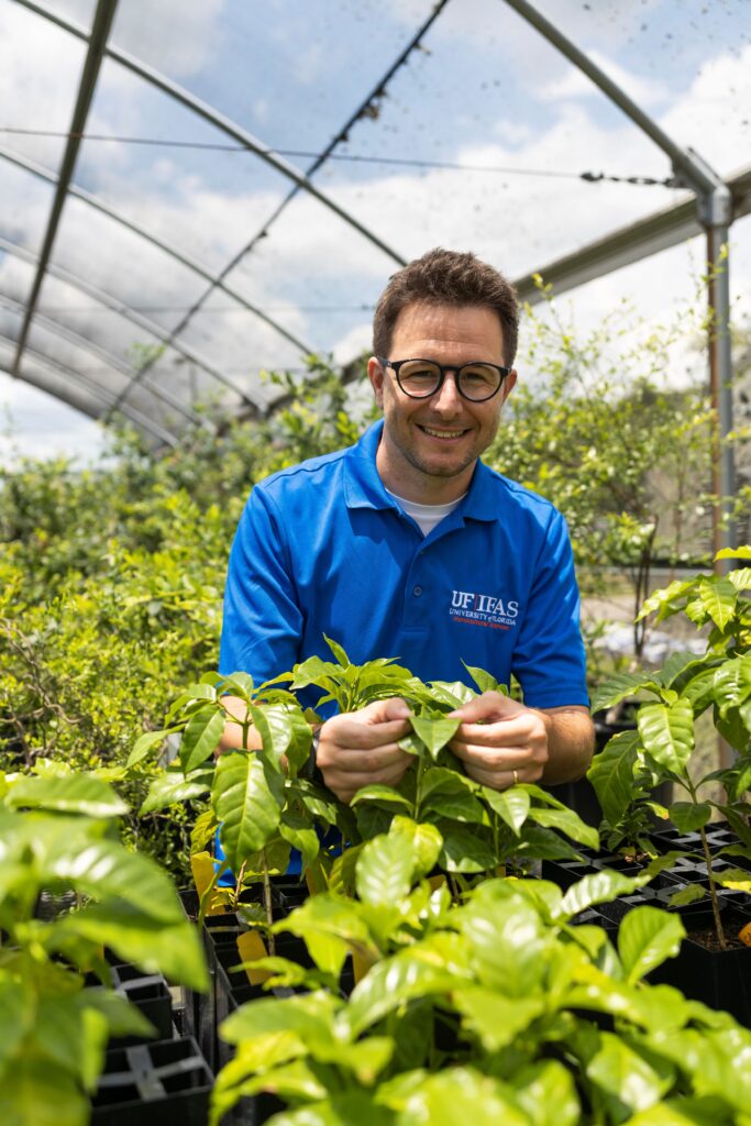 Felipe Ferrao, a UF/IFAS assistant research scientist and the lead researcher on the coffee study, in a greenhouse with coffee plants. (Photo courtesy of Cat Wofford, UF/IFAS photography)