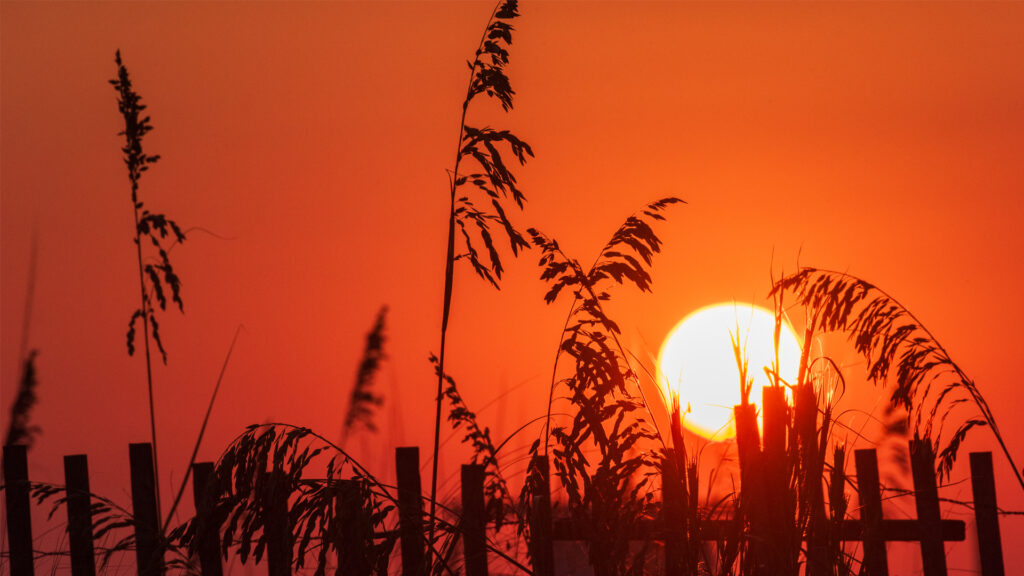 Grass and a beach fence are silhouetted by the setting sun on Okaloosa Island in Florida. (iStock image)