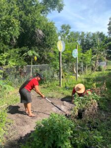 Rosa Morales, left, and Amadely Roblero, right, work in the Apopka garden in their free time. (Ayurella Horn-Muller/Grist)