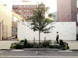 A bioswale in the New York borough of Brooklyn helps absorb rainwater and provides some cooling for the area. (Chris Hamby via Wikimedia, CC BY-NC-SA)