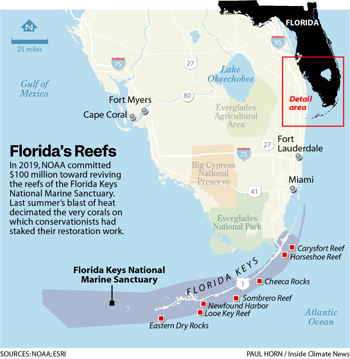 A map of Florida's reefs (Source: Paul Horn/Inside Climate News)