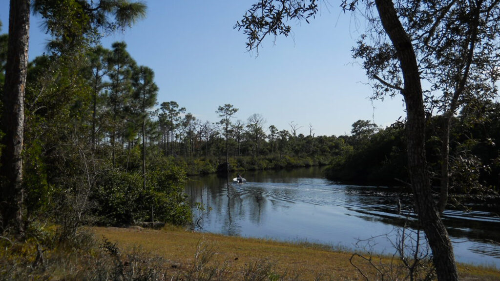 The Loxahatchee River at Jonathan Dickinson State Park (Stephen B Calvert Clariosophic, CC BY-SA 3.0, via Wikimedia Commons)