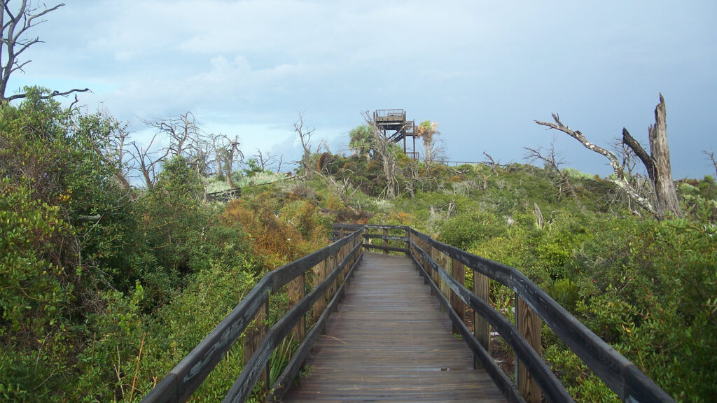 A boardwalk to the Hobe Mountain Tower at Jonathan Dickinson State Park. Hobe Mountain is an ancient sand dune that stands 86 feet above sea level, the highest natural point south of Lake Okeechobee. (Ebyabe, CC BY-SA 3.0, via Wikimedia Commons)