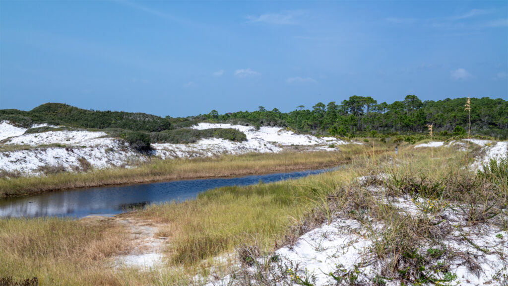 Topsail Hill Preserve State Park (Alexander Hatley, CC BY 2.0, via Wikimedia Commons)