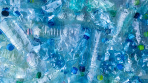 Plastic bottles (iStock image)