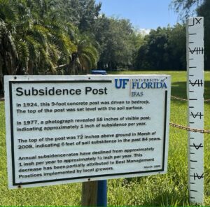 A marker highlights the loss of nearly six feet of organic soils within the Everglades Agricultural Area over the past century. (Jehangir Bhadha/University of Florida Institute of Food and Agricultural Sciences, CC BY-NC-ND)