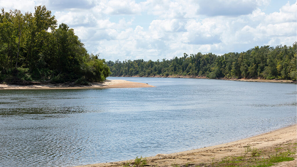 The Apalachicola River in Florida as seen looking downstream from Ocheesee Landing on Sept. 3, 2024. (Scott Holstein/FAMU-FSU College of Engineering)