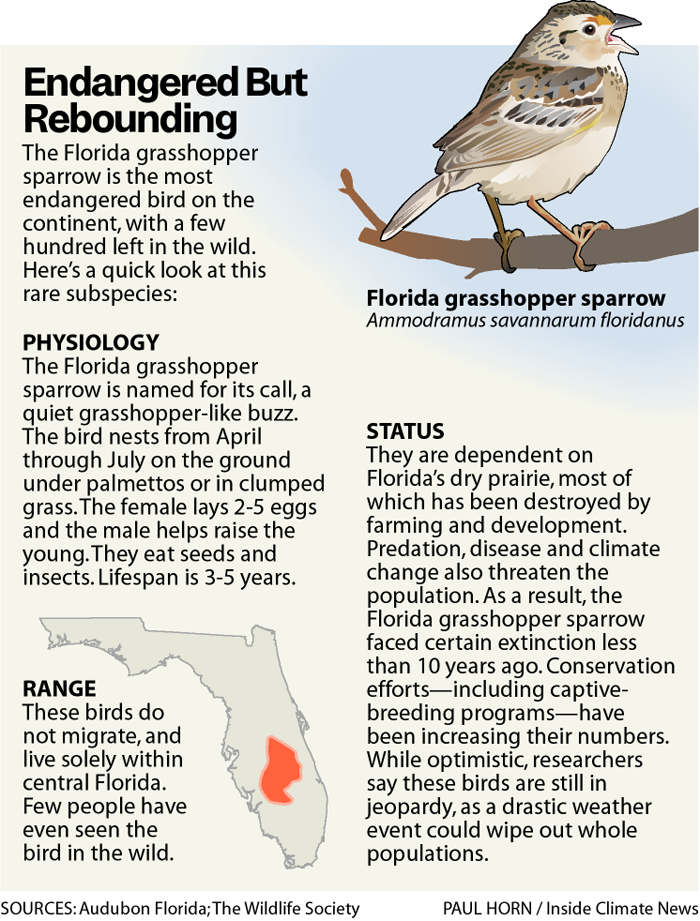 Graphic by Paul Horn/Inside Climate News; Sources: Audubon Society, The Wildlife Society