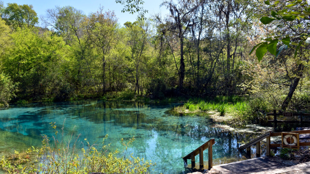 Ichetucknee Springs State Park (iStock image)