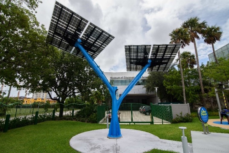 Sunny, the solar tree in the Museum of Discovery and Science’s Science Park. (Photo courtesy of MODS)