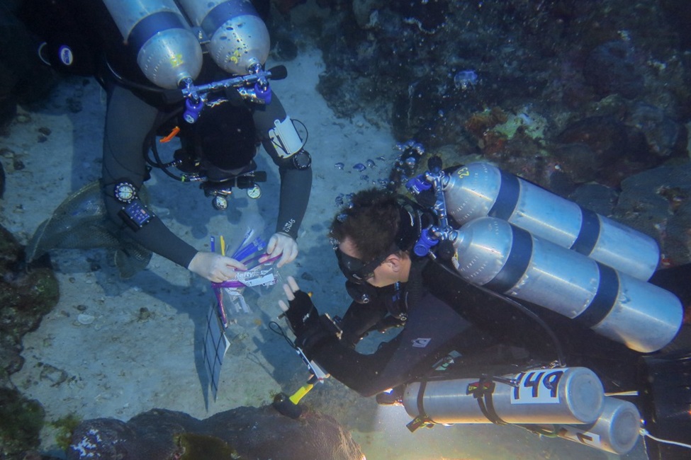 Ryan Eckert, first author and a Ph.D. candidate; and Joshua Voss, Ph.D., senior author, principal investigator of the study, and an associate research professor, FAU Harbor Branch. (Photo credit: Jake Emmert, Moody Gardens)