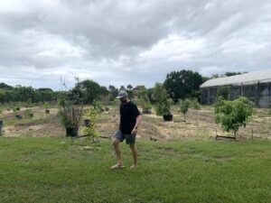 Jeremy Ford walks through Ford's Farms in Homestead. (Ayurella Horn-Muller/Grist)