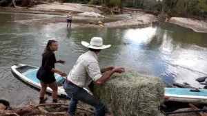 Residents in Black Mountain, North Carolina prepare to tow donated hay across Helene’s floodwaters with a paddleboard to feed horses and goats on a nearby farm on October 3, 2024. (Mario Tama/Getty Images via Grist)