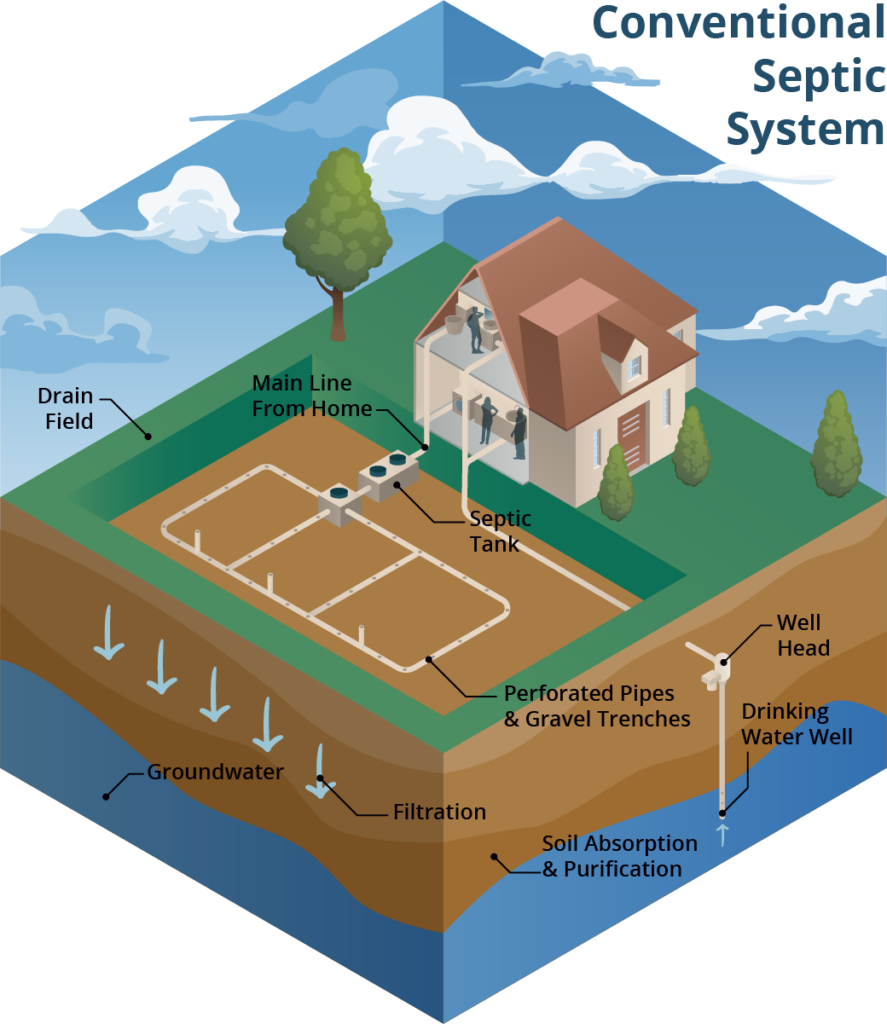 Graphic of a conventional septic system. (Courtesy Mary Lusk, UF/IFAS)