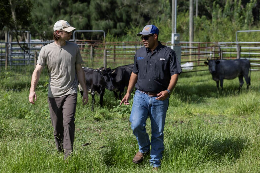 Dyllan Furness, co-owner of Furness family farms, left, and Jonael Bosques, director of UF/IFAS Extension Hardee County, walk the Furness family farms in Hardee County. (CourtesyTyler Jones, UF/IFAS photography)