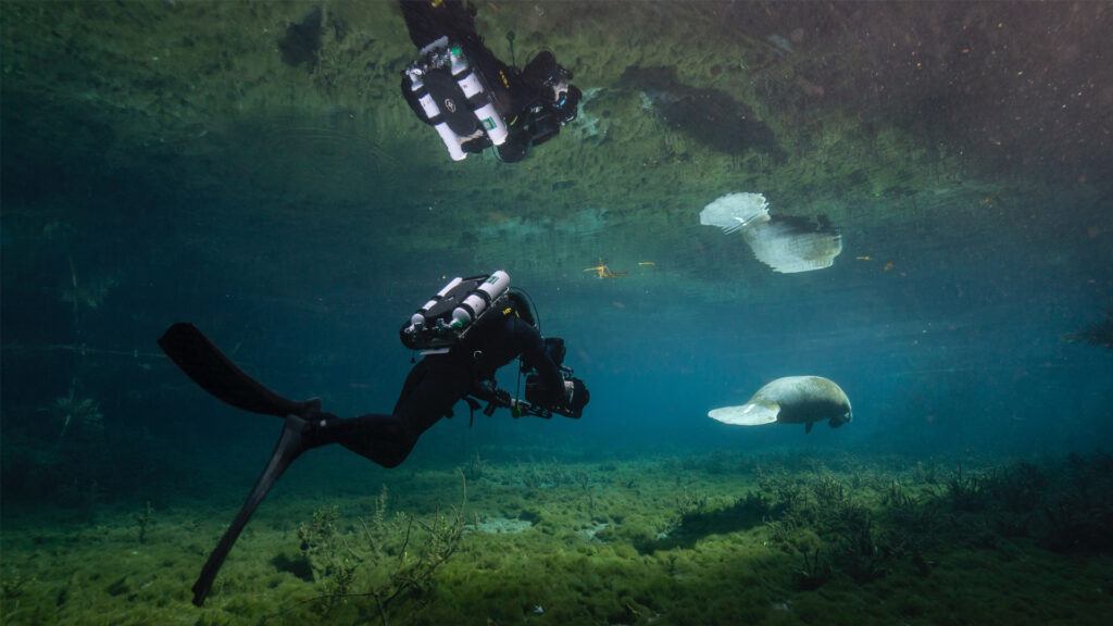 Cameraman Tom Fitz works with Katie Carpenter filming marine wildlife. (Photo credit: Phoebe Fitz 2024)