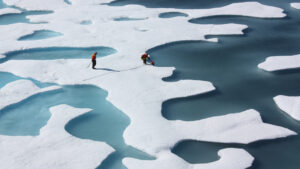 Sea ice melt ponds on the Arctic Ocean (Kathryn Hansen/NASA, CC BY 2.0, via Wikimedia Commons)