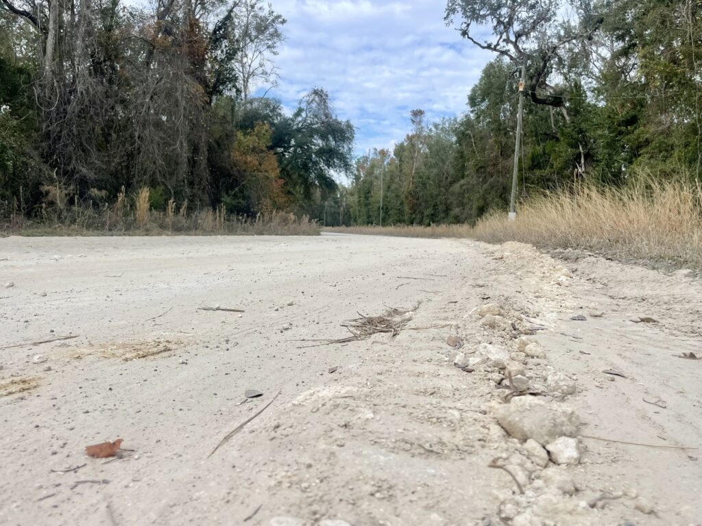 A dirt road in Dixie County (TPIN staff)