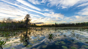 Sunset in the Okefenokee National Wildlife Refuge (iStock image)