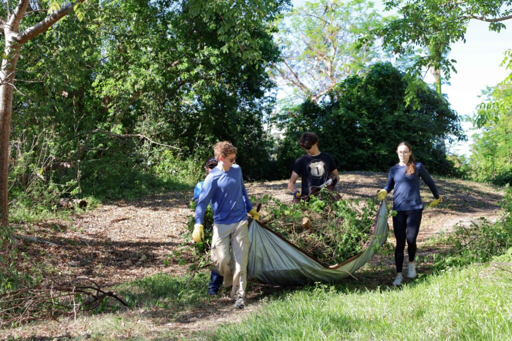 GatorCorps members and UF Gulf Scholars traveled to Pine Island to help with hurricane recovery and to create a space free of vegetation on top of Brown’s Mound. (Florida Museum photo by Annisa Karim)