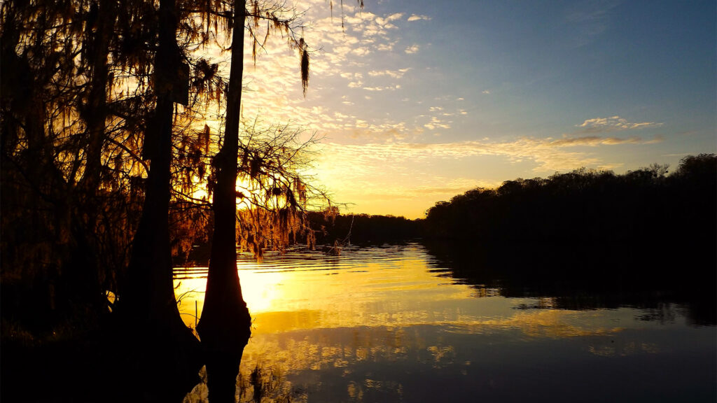 The Suwannee River as seen from Manatee Springs State Park (iStock image)