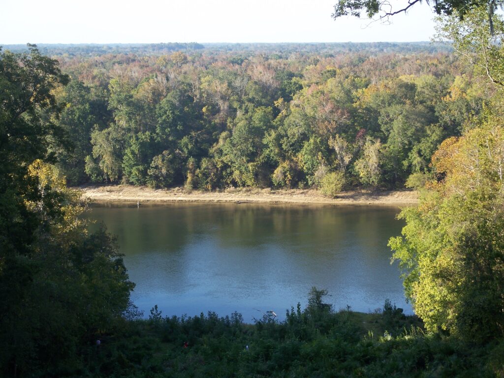 A view of the Apalachicola River from behind the Gregory House in Torreya State Park (Ebyabe, CC BY-SA 3.0, via Wikimedia Commons)