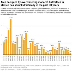 Area occupied by overwintering monarch butterflies in Mexico has shrunk drastically in the past 30-years (Chart: The Conversation, CC BY-ND; Source: Monarch Joint Venture)