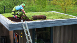 Green roofs help intercept rainfall and make urban infrastructure less prone to damage, while reducing the amount of water flowing into sewers. (iStock image)