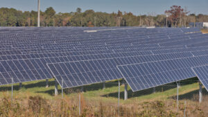 A roadside view if solar panels in Florida (iStock image)