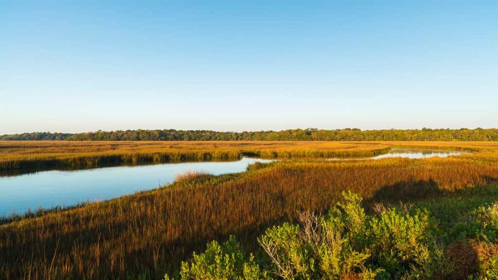 Wetlands on Big Talbot Island in Jacksonville (iStock image)